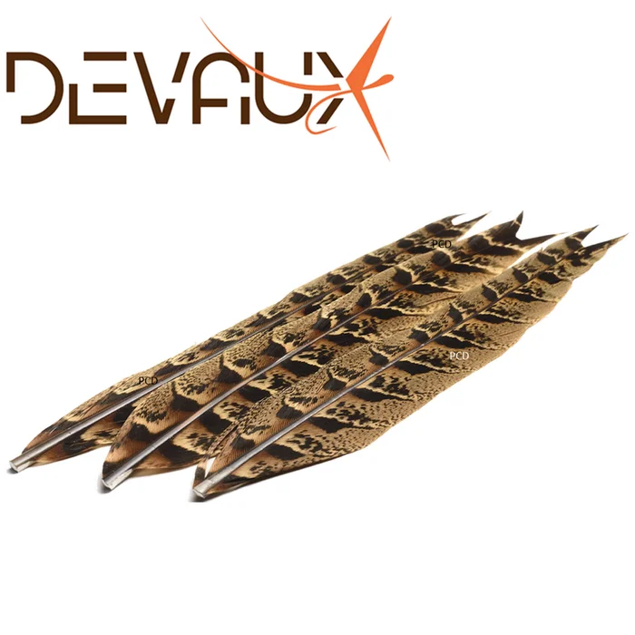 QUEUE DEVAUX DE POULE FAISANE