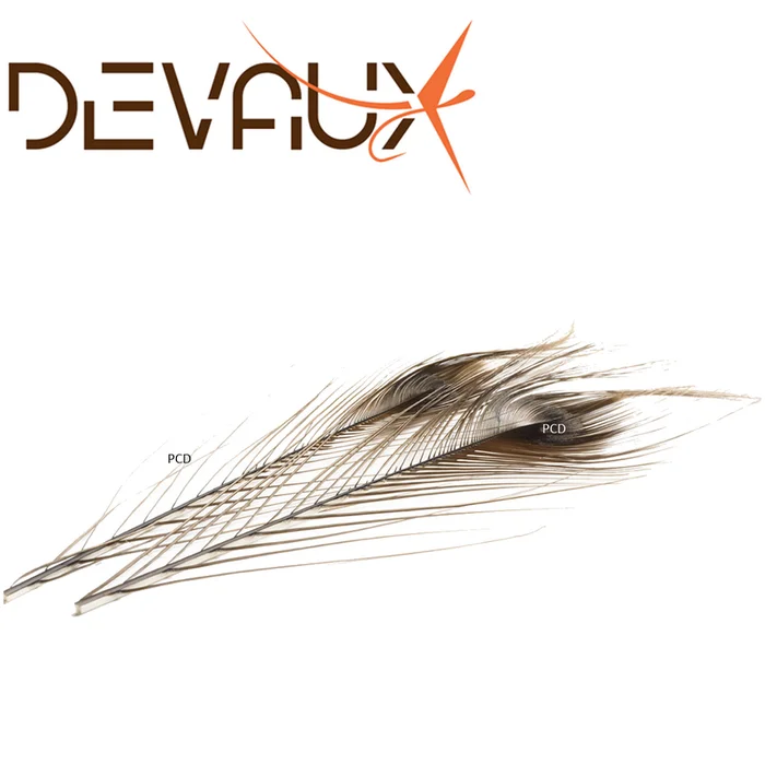 QUILL DE PAON EBARBE DEVAUX