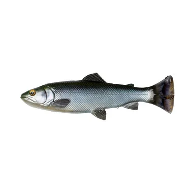 Savage Gear – 4D Pulse Tail Line Thru Trout Swimbait