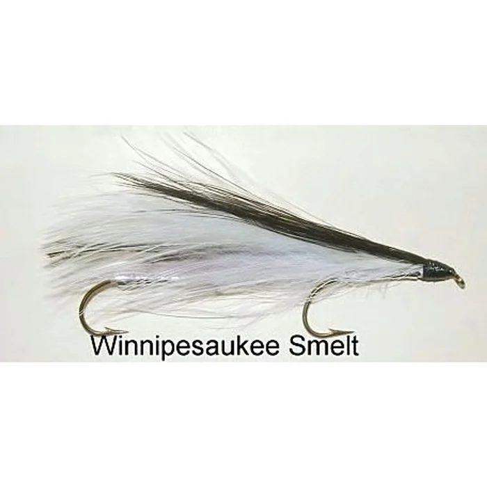 Streamer Fly – Éperlan de Winnipesauke – Image 3